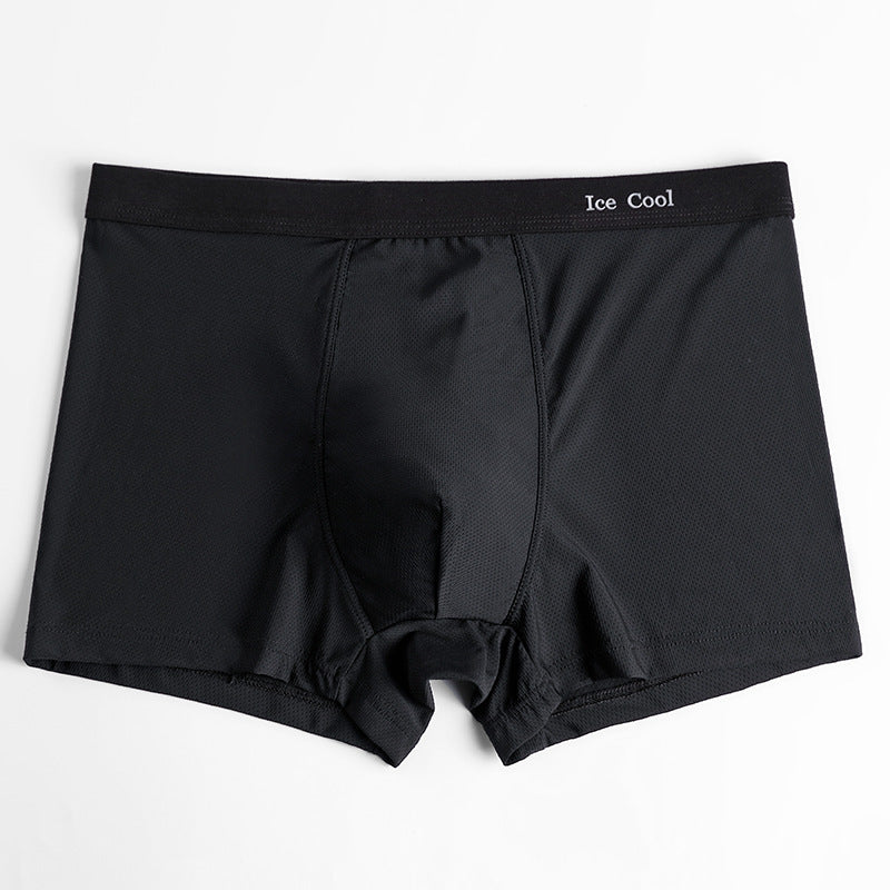 Summer Ice Silk Men's Underwear Hollow Mesh Breathable U Convex Boxer Briefs